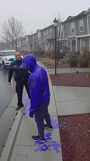 18M views · 399K reactions | Package Thief Gets Blue Paint Bomb Surprise in the Rain! #security #theft #prank | Vu Visuals | Facebook