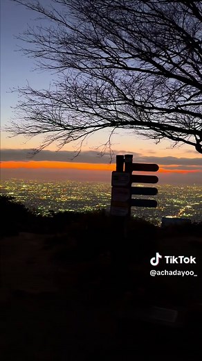 大阪の夜景スポット - 光の絨毯を楽しむ