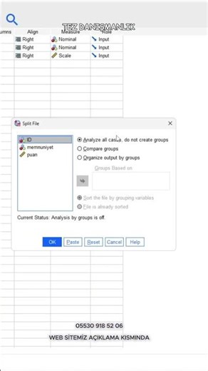 SPSS Split File Nasıl Kullanılır?