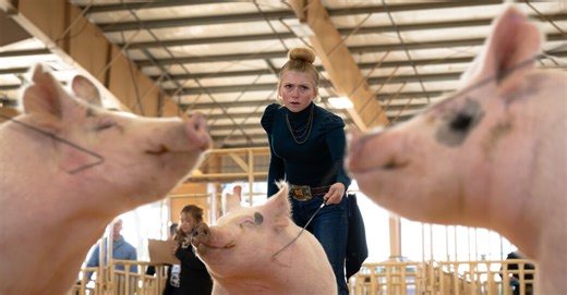 The ‘Iconic’ Stare That Conquered the Internet