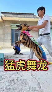 2.6M views · 18K reactions | Dog high power jump with amazing talented dog | Funny People 3.0 | Facebook