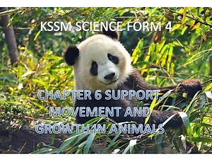KSSM SCIENCE F4 CHAPTER 6 SUPPORT, MOVEMENT AND GROWTH