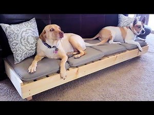 Modern Platform Dog Bed - Large Dog Bed // DIY How-To