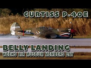 CURTISS P-40E - BELLY LANDING - Weeks Air Museum Members Day