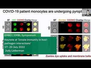 Fanning the Flames: Pyroptosis in Bacterial and Viral Infection