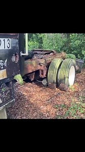 696K views · 10K reactions | 1980 Frieghtliner WillitStart #trucks #trucking #trucker #truckdriver #peterbilt #international #kenworth #semi #largecarmafia #dodge #diesel #dieseltrucks #dieselpower #dieselmechanic #diesellife #livetheshow #dynaflexusa #stance #power #speed #trending #viral | Bruce Wilson | Facebook