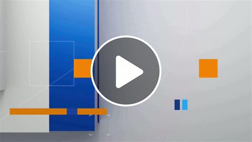 Bagworms: Protect your evergreen trees from this pest - NewsBreak