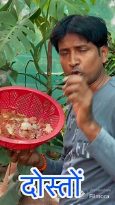 51K views · 797 reactions | घर पर बनाये फ्री में Organic NPK जो पूरा साल प्रयोग करे #npk #fertilizer #plants #reels #organic | Ramanand Kushwaha | Facebook