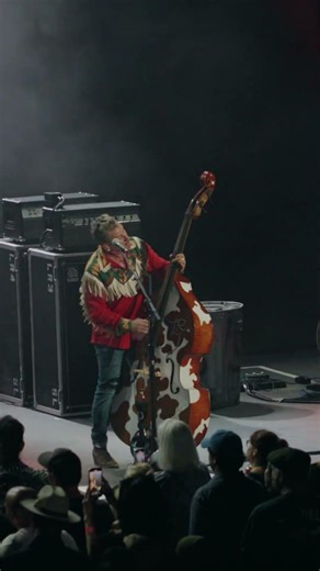 What song are you hoping The Stray Cats play on their US Tour? Comment below👇 #rockabilly #straycats