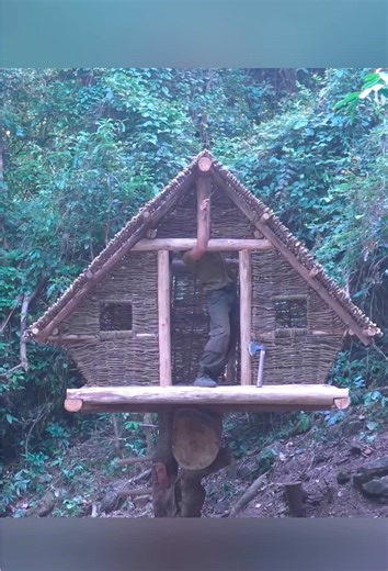 Building a Wooden House on a Fallen Tree Trunk