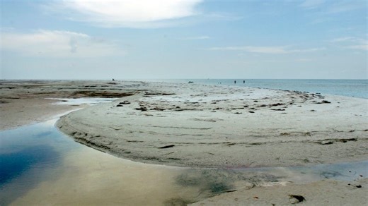 Where is Caladesi Island State Park? 5 things to know about visiting the secluded island