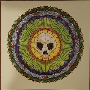 Turtle Skull - Turtle Skull