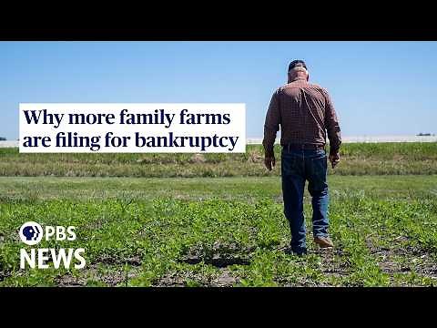 WATCH: Why more family farms are filing for bankruptcy