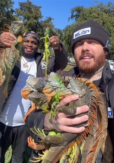 This is what it looks like behind the scenes! 🤯 @Kitchen 🏕️ | cooking tiktok