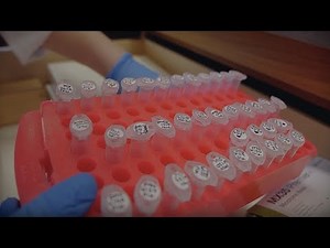 Transforming Neuromuscular Disease | The Future of Gene Therapy