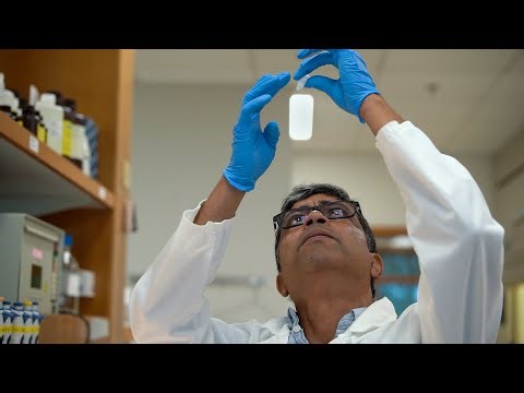 Stowers Scientists Reveal How the Brain Stores Long-Lasting Memories