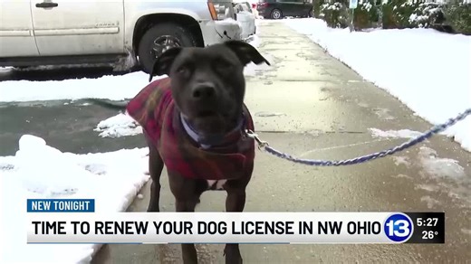 Time to renew your dog license in NW Ohio