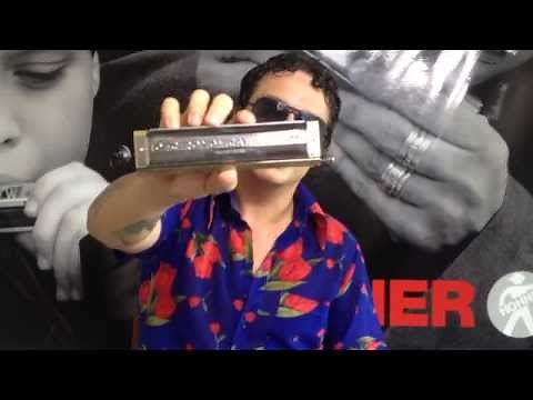 Hohner Chromonica 64 - Marcelo Naves