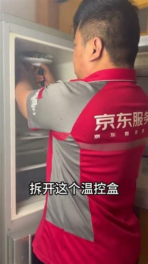 Master Yin's Latest Appliance Hacks: Revamp Your Fridge's Freeze