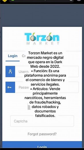 Torzon market Dark Web / Contenido Informativo