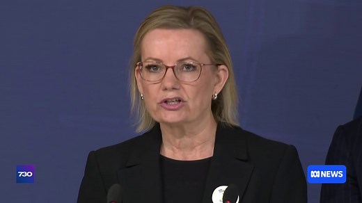 What is in the government's new hate speech laws?