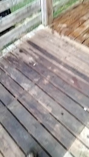 Ronald Johnson on Reels