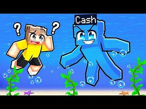 ONE COLOR CAMOUFLAGE Hide and Seek in Minecraft!