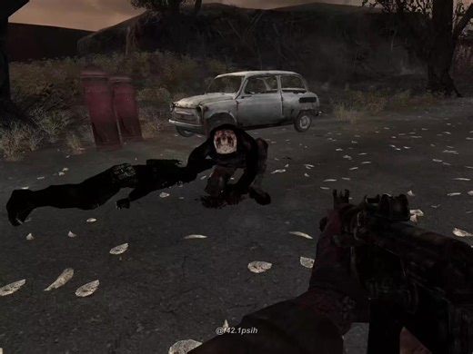 Stalker Schizophrenia Build Guide for 2205 TGC