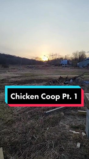 Chicken Coop Build Pt. 1 #chickencoop #build #chickens #spring #diy #getoutmore #ImoniCarly #foryou #wip #fyp