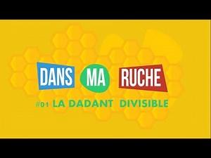 #01- La Dadant Divisible