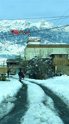 #پاراچنار🍁۔۔۔وطن۔۔جاررررررررررررررر @creator search insights