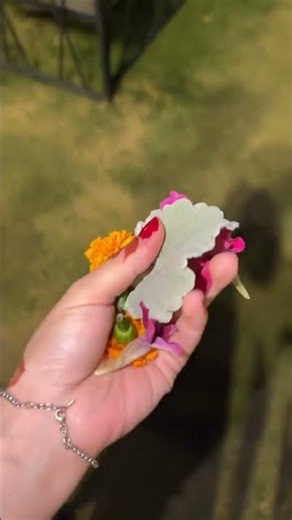 رحت للحديقة وجمعت أحلى باقة ورد بيدي 🌸