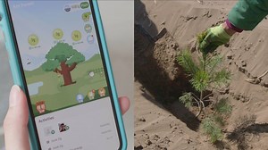 WATCH: Mobile app Alipay Global's ‘Ant Forest’ is making going green fun in China. Here’s how. #EarthDay | Alibaba Group