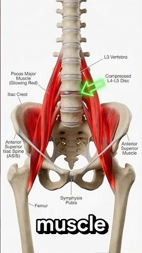 This Hidden Muscle Is Causing Your Back Pain