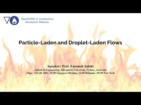 Particle-Laden and Droplet-Laden Flows