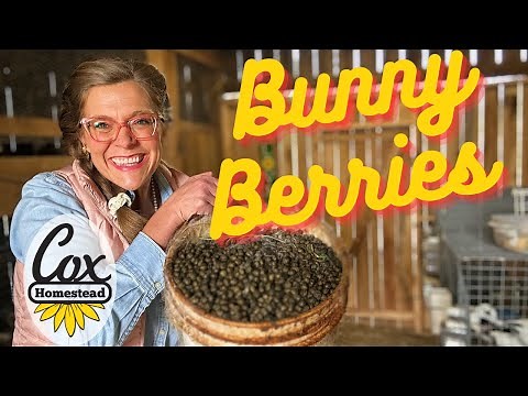 How I collect, sell, and use rabbit manure | Cox Homestead