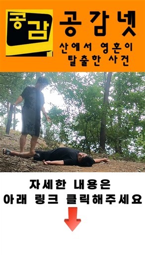 🐍 길에서 뱀을 만났습니다ㅋㅋ #뱀 #독사 #뱀조심 #위기탈출 #안전정보 #공감넷