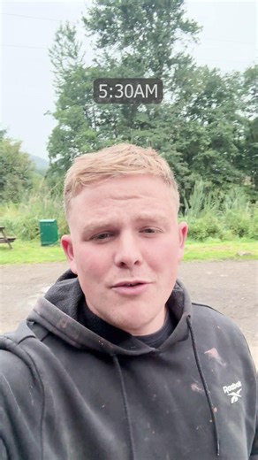 Back British Farming NFU on Instagram: "Farmer James @scottys_farm shows us a day in the life of a British dairy farmer—in just 1 minute Did you know a dry cow is a female cow that isn't currently producing milk and a heifer is a female cow that has never given birth? @farmersguardian @morrisons #Farm24 #BackBritishFarming"