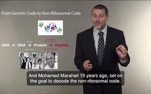 1. from sequence comparison to biological insights