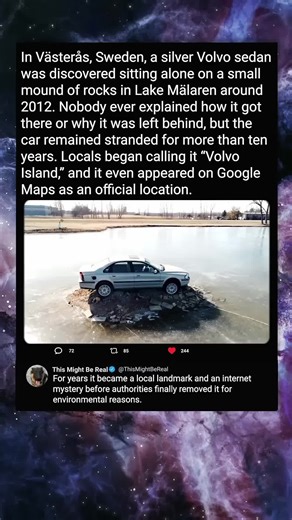 The Car That Became an Island | car