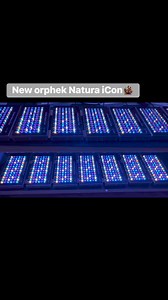 1.4K views · 19 reactions | Experience the Future of Reef Aquarium Lighting: Introducing Orphek’s Game-Changing 6-Watt Mixed Colors Dual-Chip LEDs! | Orphek LED Lighting | Facebook