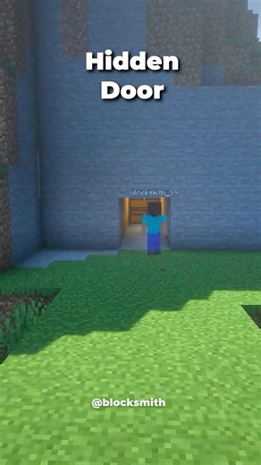 This Hidden Door in Minecraft 👀🚪You’d never notice it | #minecraft #shorts |
