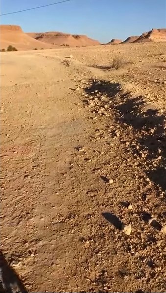 Watch Ranger Discovery Power Wheelchair off-road all terrain on Amazon Live