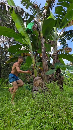 Vilem (@pinoy.x)’s videos with original sound - Vilem