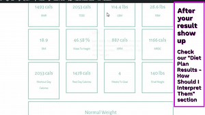 How To Use Diet Plan Calculator