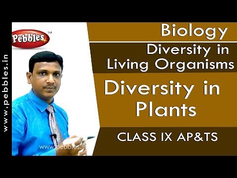 Diversity in Plants : Diversity in Living Organisms | Biology | Class 9 | AP&TS