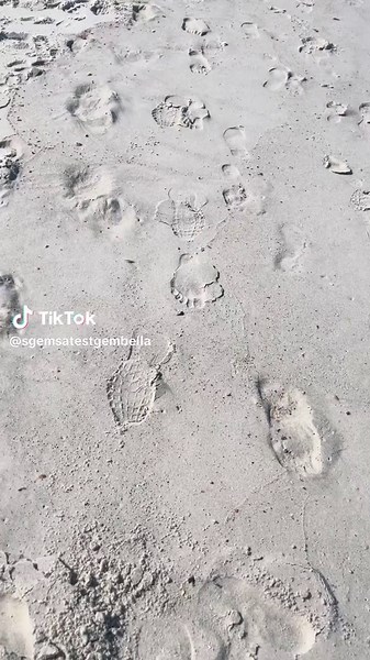 SGEMS (@sgemsatestgembella)’s videos with Hey, look at this! Look! - aqunos