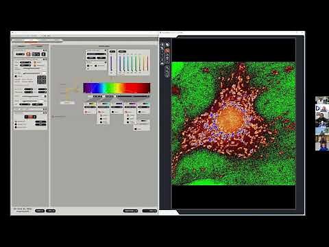 Confocal Microscopy Workshop: 2D Acquisition and Spectral Separation - James Hayden, BA, RBP, FBCA
