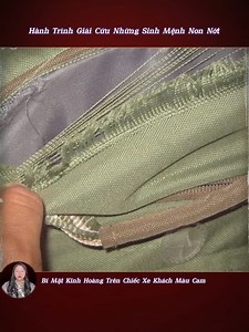 1.1M views · 10K reactions | Hành Trình Giải Cứu Những Sinh Mệnh Non Nớt – Bí Mật Kinh Hoàng Trên Chiếc Xe Khách Màu Cam | HC Studio | Facebook