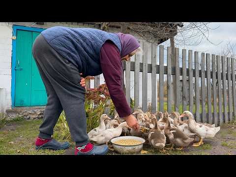 A Hard but Peaceful Life: One Day With a Ukrainian Village Grandma